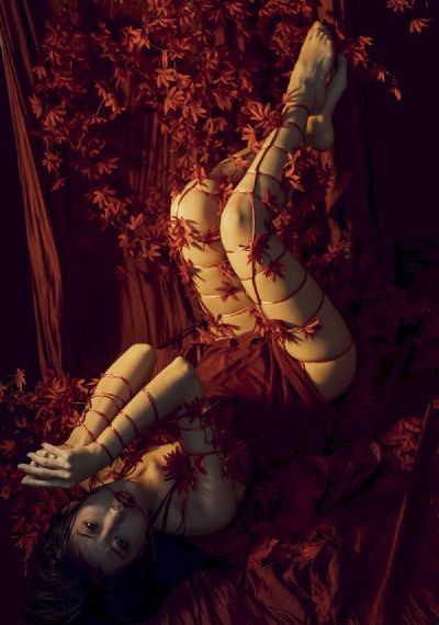 九七影院不用下载播放器_bd影视动漫免费观看